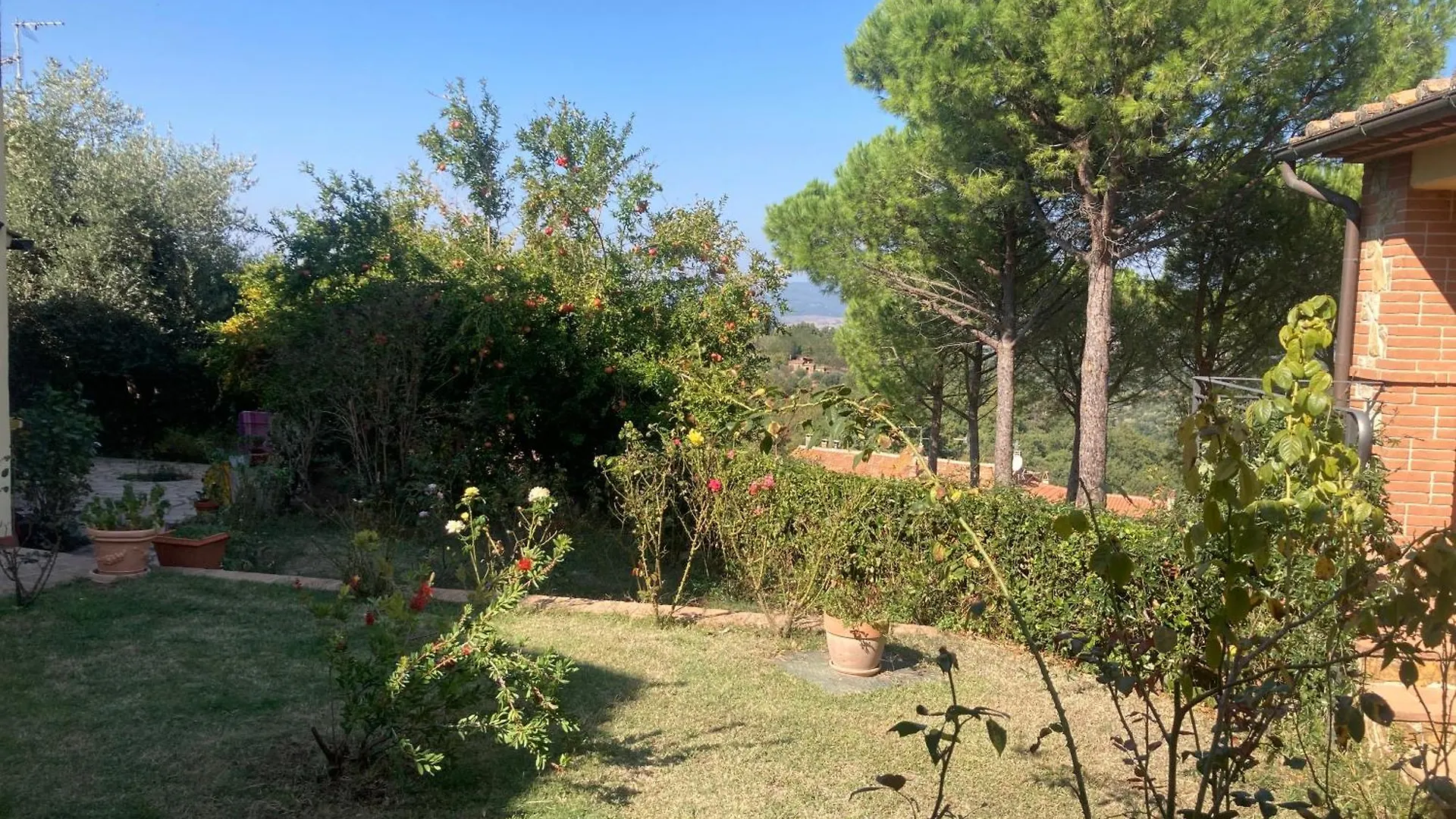 La Biocca Bed & Breakfast Poggio Murella Italy
