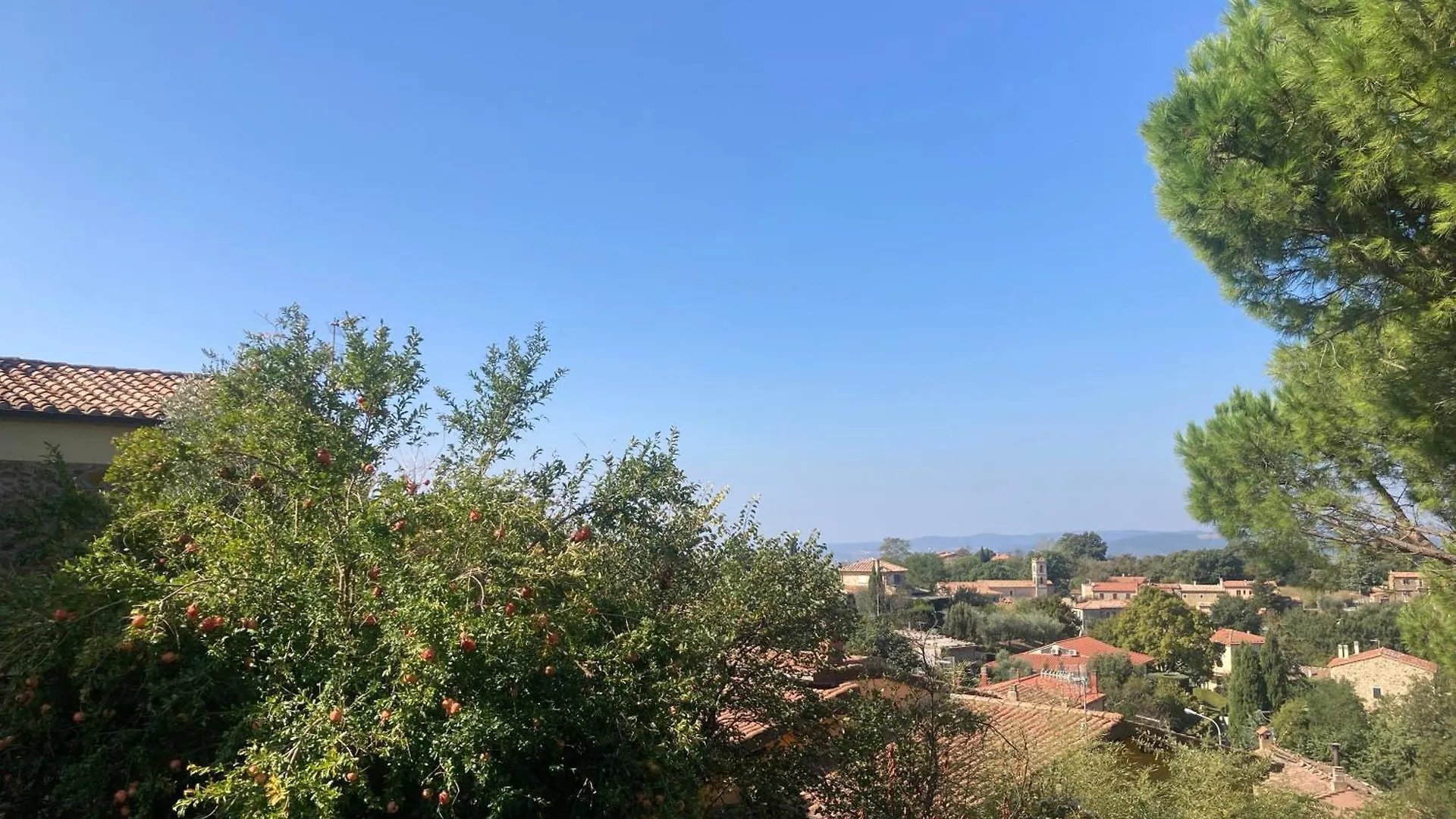 La Biocca Bed & Breakfast Poggio Murella