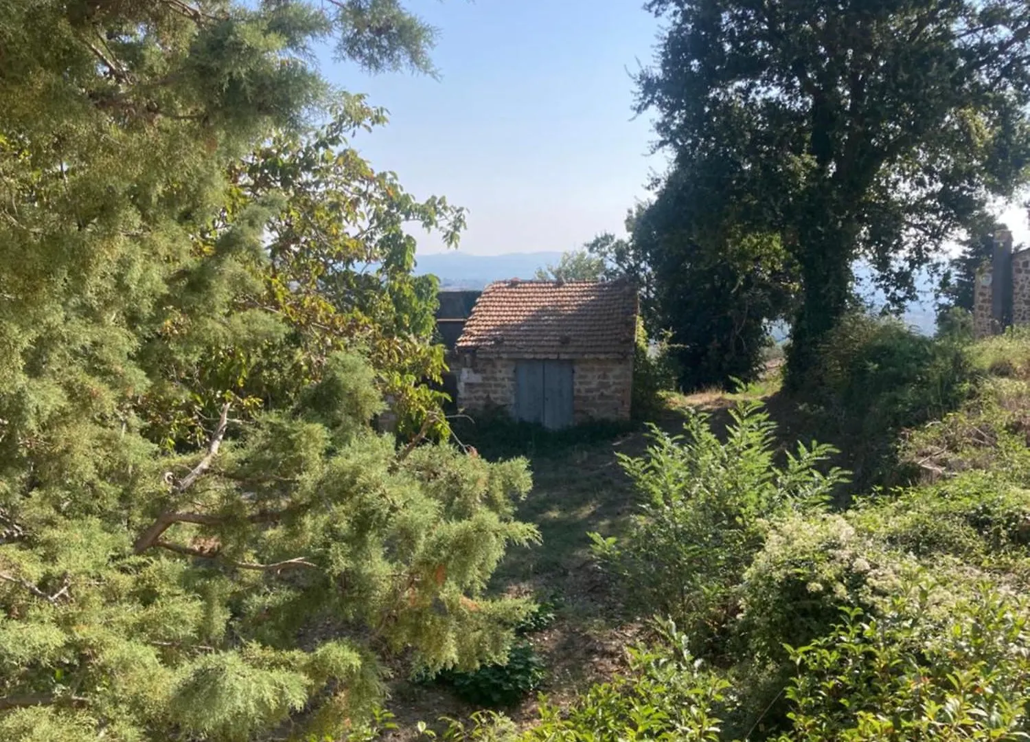 La Biocca Bed & Breakfast Poggio Murella
