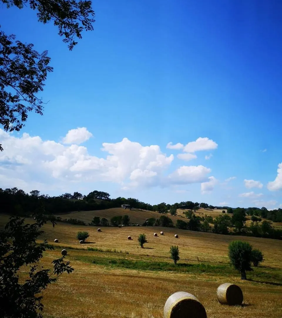 La Biocca Bed & Breakfast Poggio Murella
